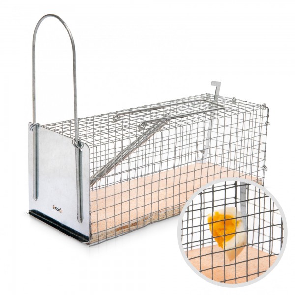 Käfig-Mausefalle - tierfreundliche Lebendfalle - 250 x 90 x 90 mm